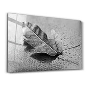 The Leaf 1 | Glass Wall Art - Artdesigna