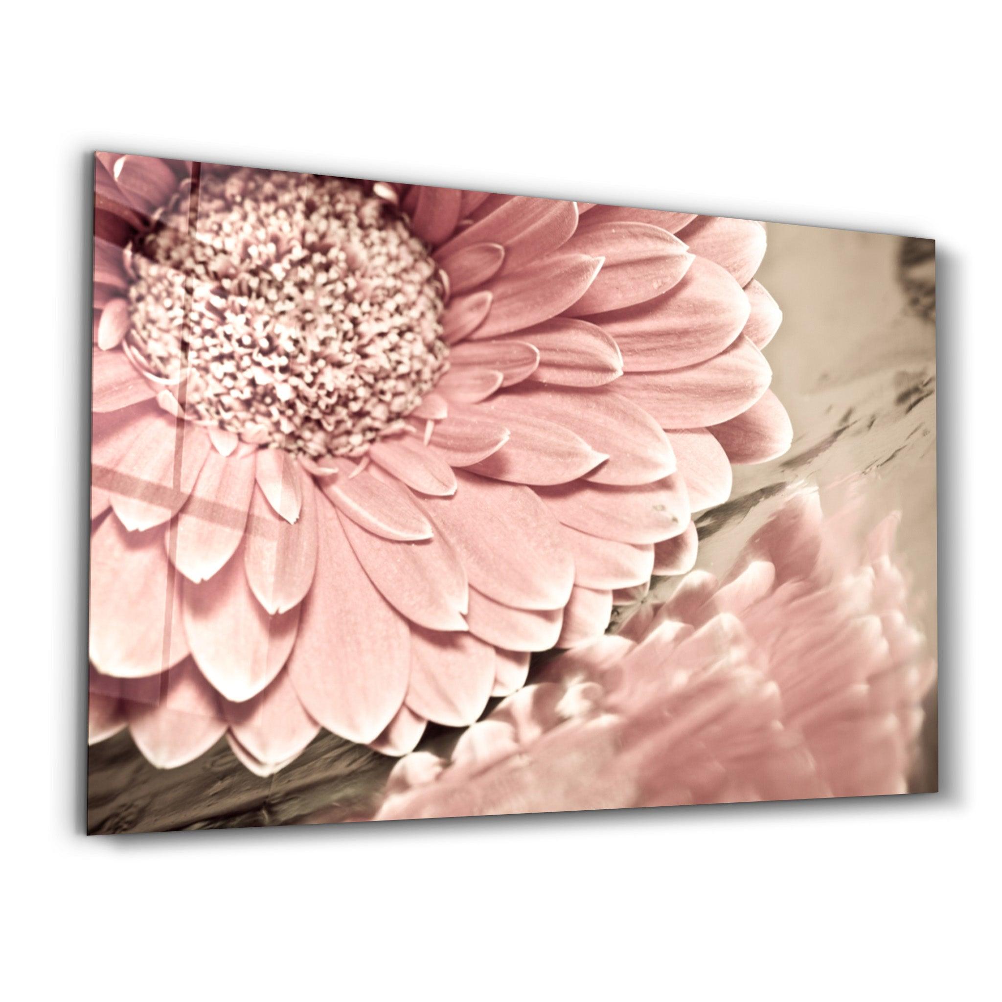 Petal Reflection | Glass Wall Art - Artdesigna