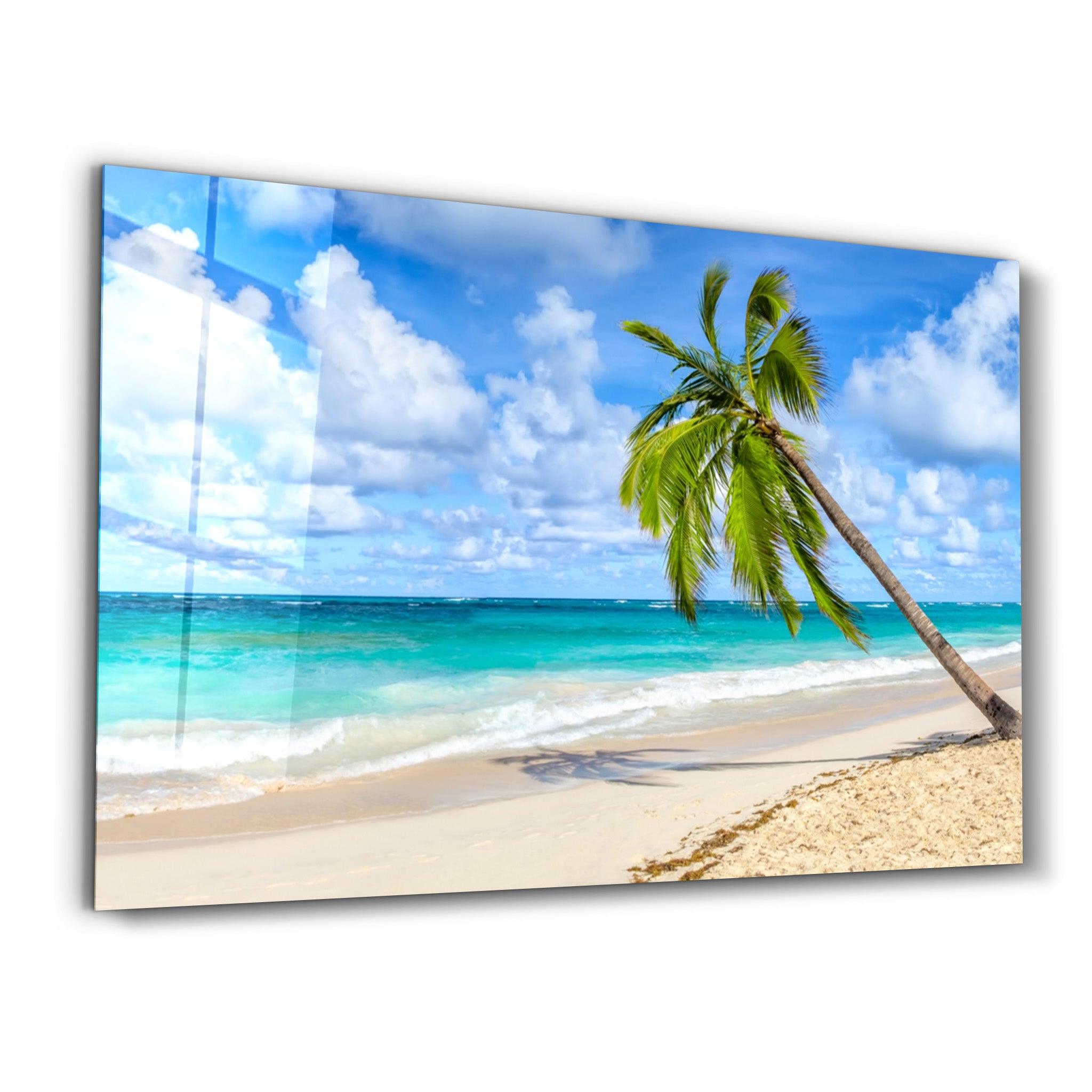 Palm Tree & Beach | Glass Wall Art - Artdesigna