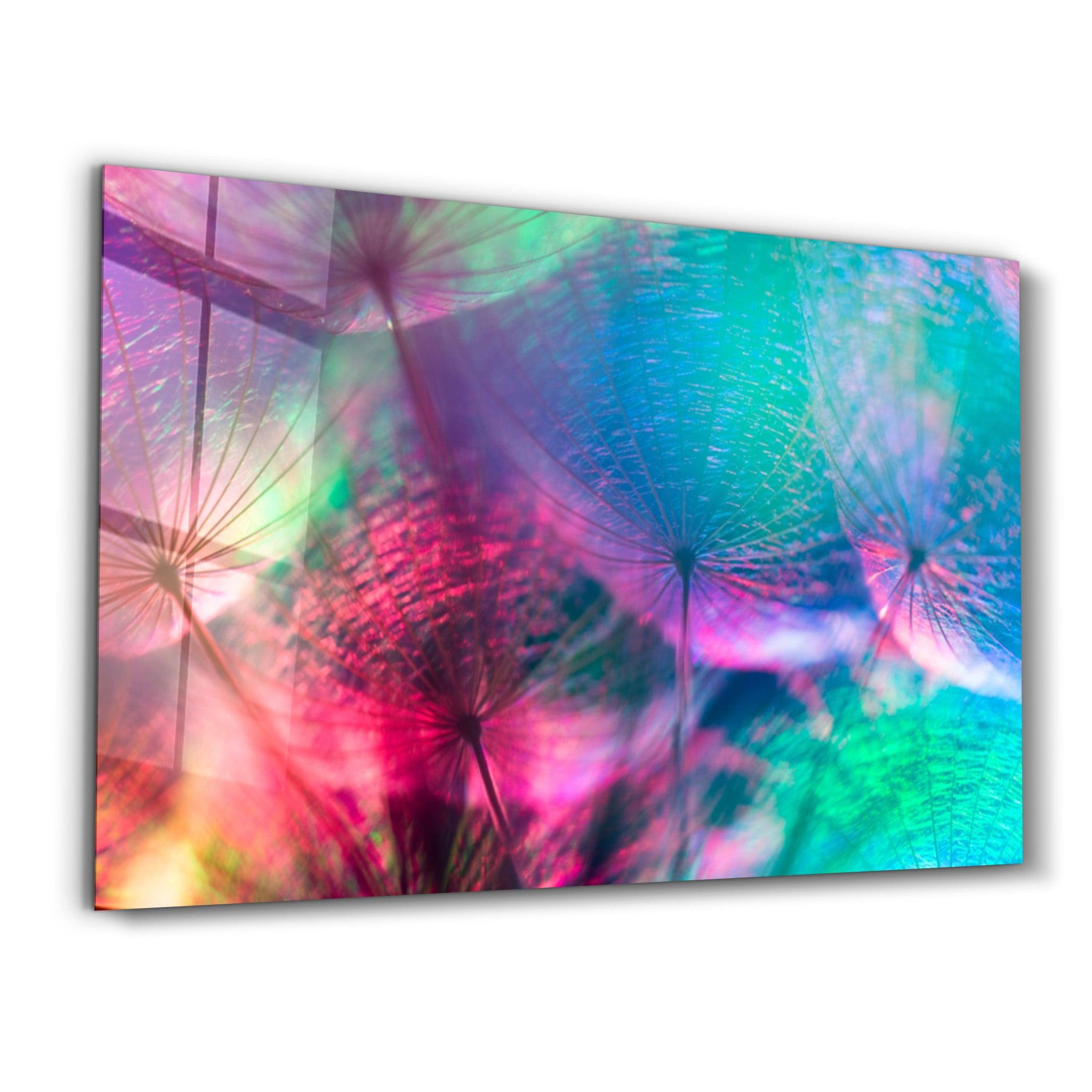 Dandelion | Glass Wall Art - Artdesigna