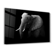 Elephant | Glass Wall Art - Artdesigna