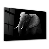 Elephant | Glass Wall Art