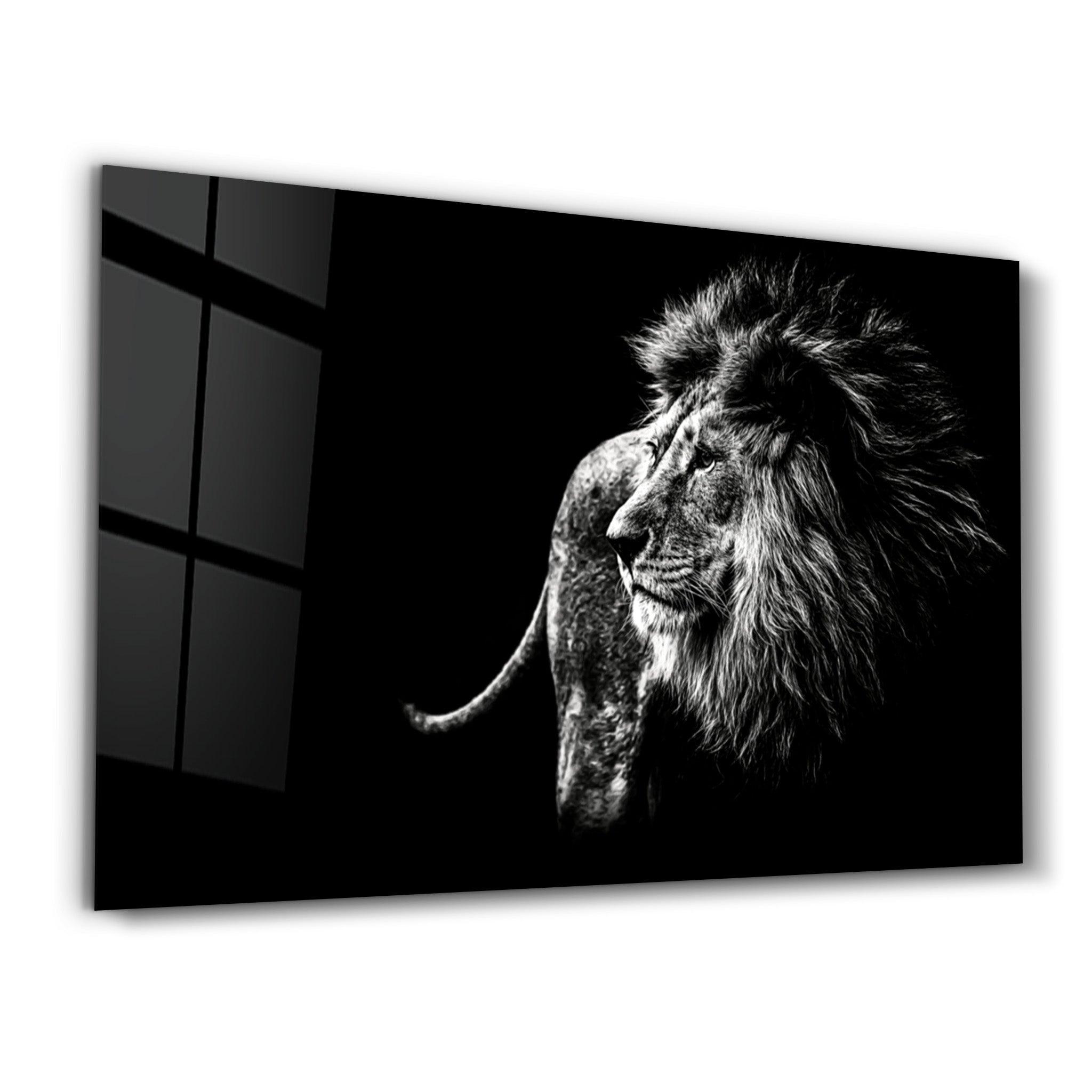 Lion | Glass Wall Art - Artdesigna