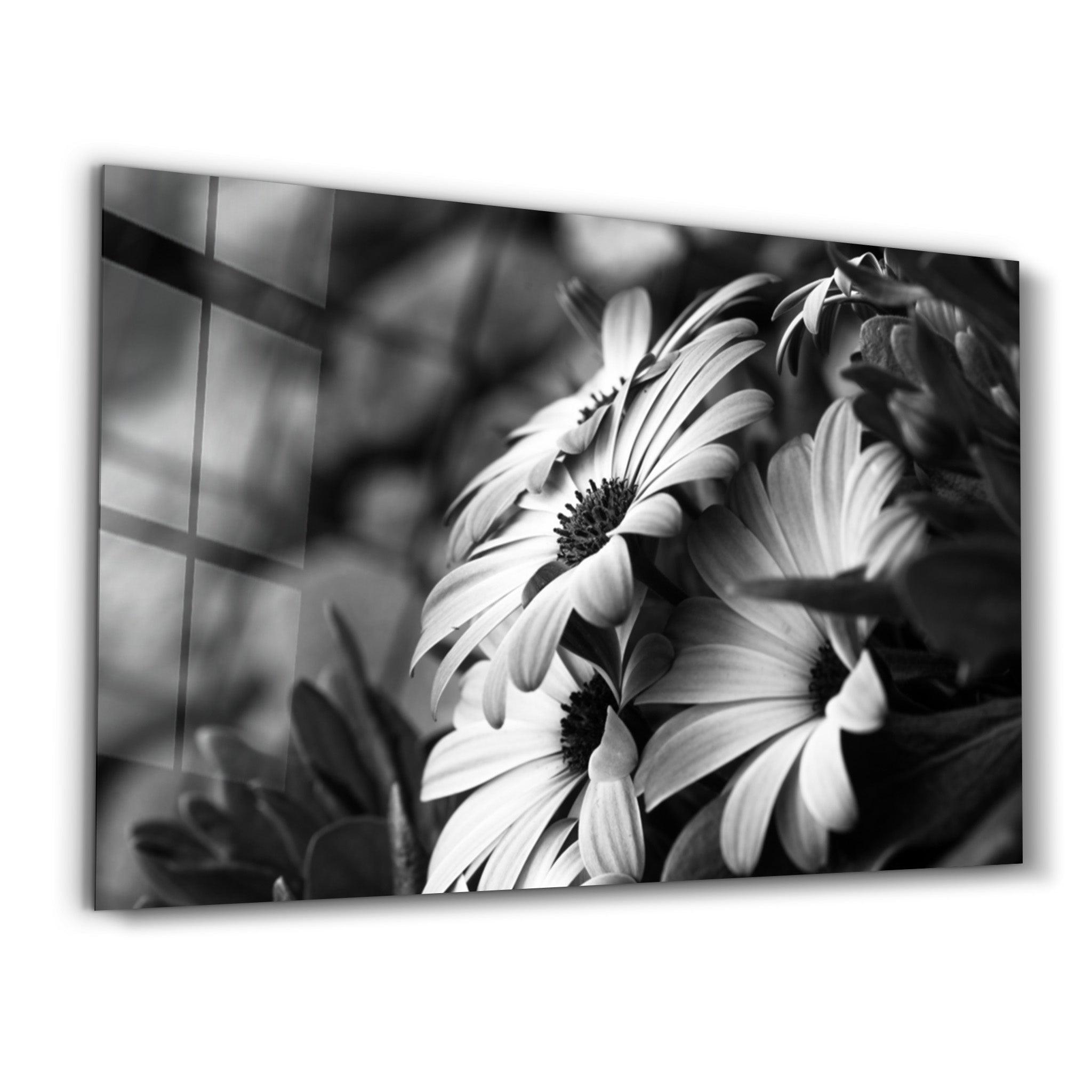 Black - White Flower | Glass Wall Art - Artdesigna