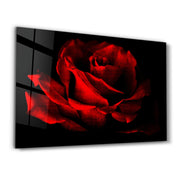 Red Rose Vintage | Glass Wall Art - Artdesigna