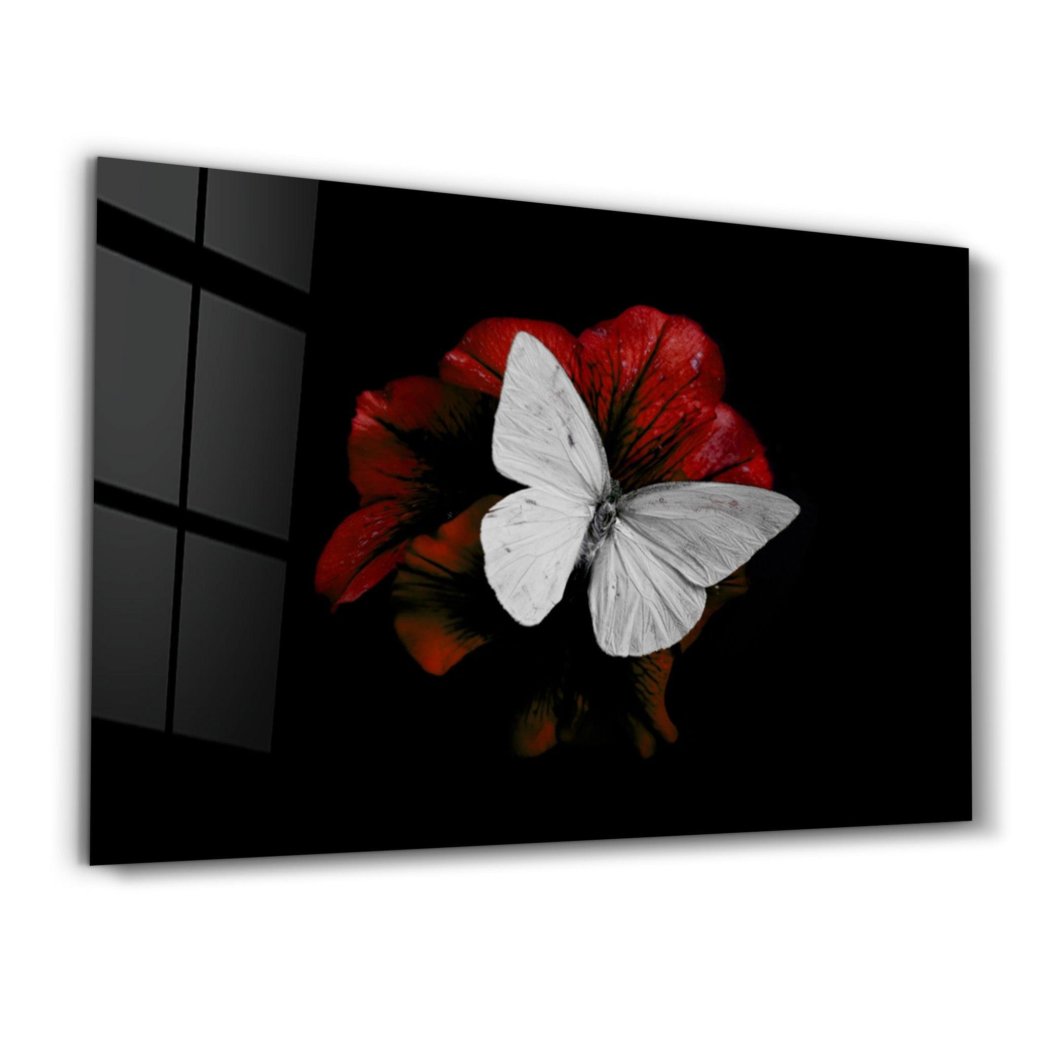 Silent Grace: White Butterfly | Glass Wall Art - Artdesigna