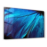 Butterfly Wing | Glass Wall Art