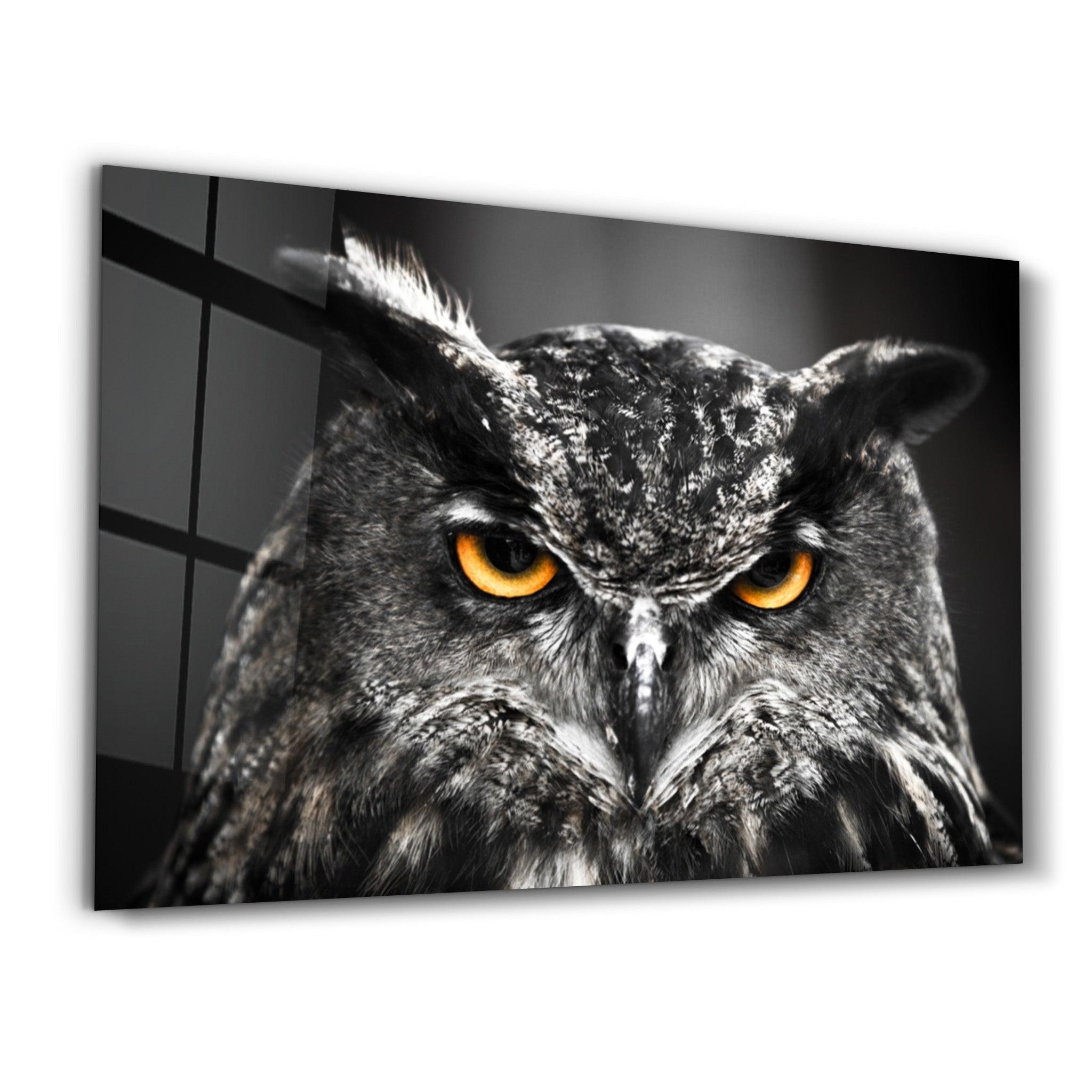 Owl | Glass Wall Art - Artdesigna