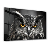 Owl | Glass Wall Art