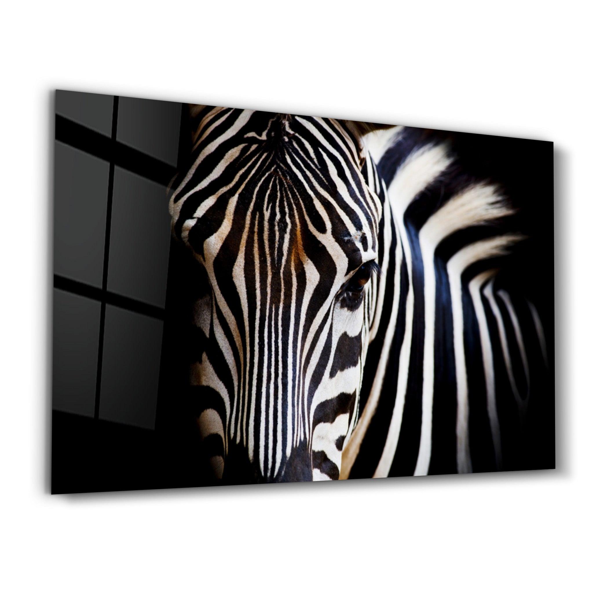 Zebra | Glass Wall Art - Artdesigna