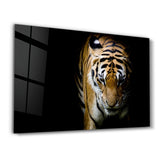Tiger 3 | Glass Wall Art