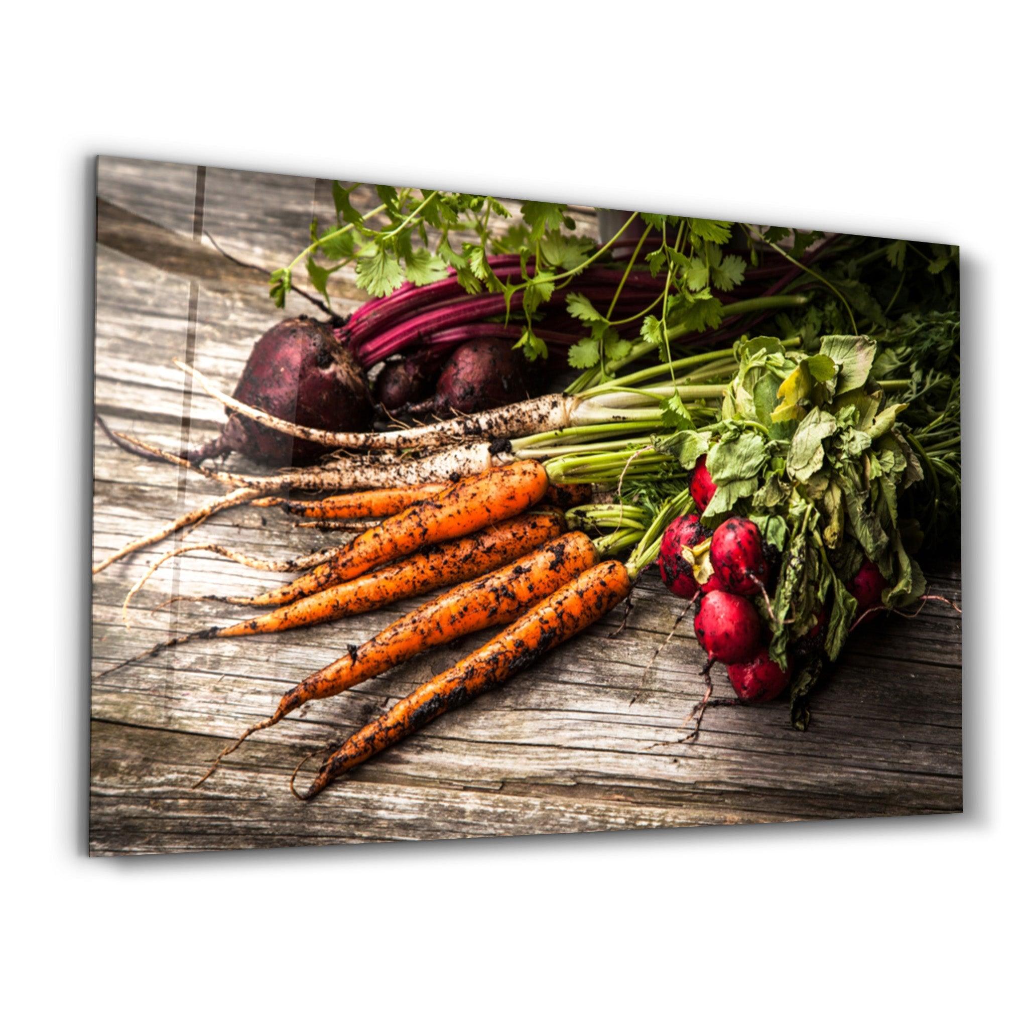 Carrot and Radish | Glass Wall Art - Artdesigna