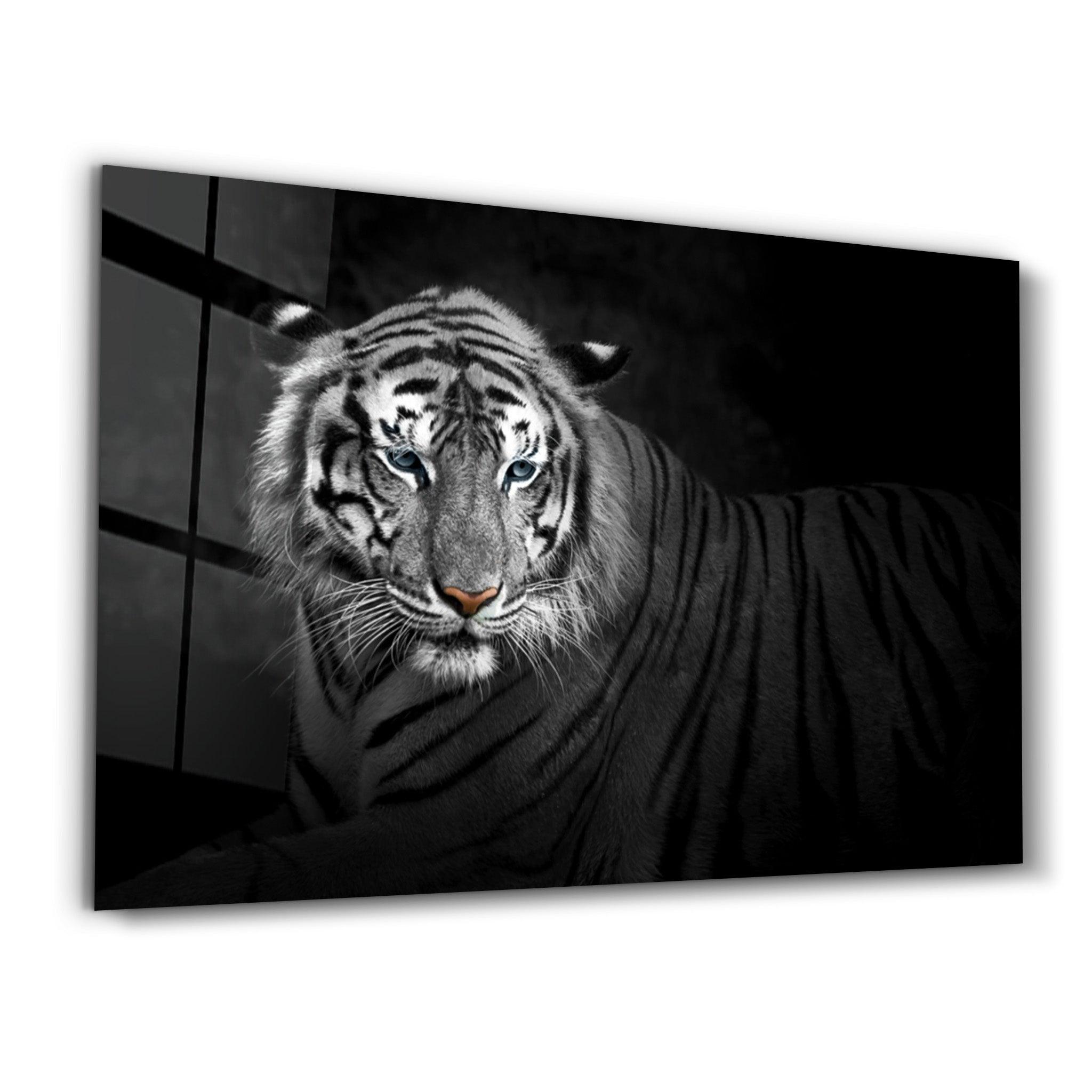 Tiger 4 | Glass Wall Art - Artdesigna