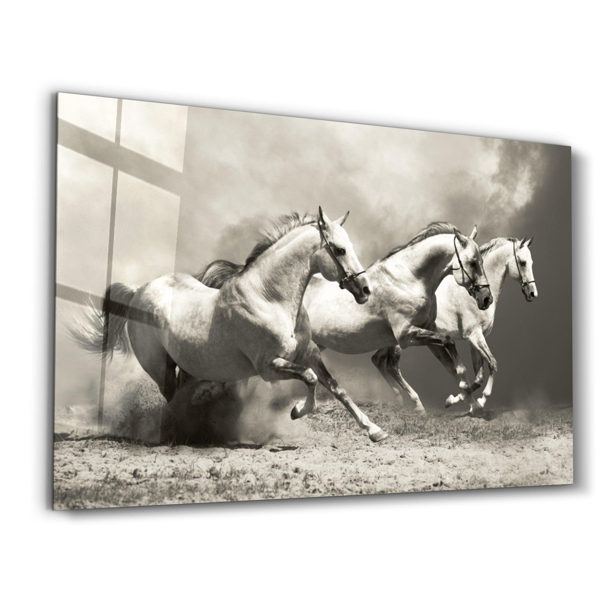 The Thunder of Hooves : Horses | Glass Wall Art - Artdesigna