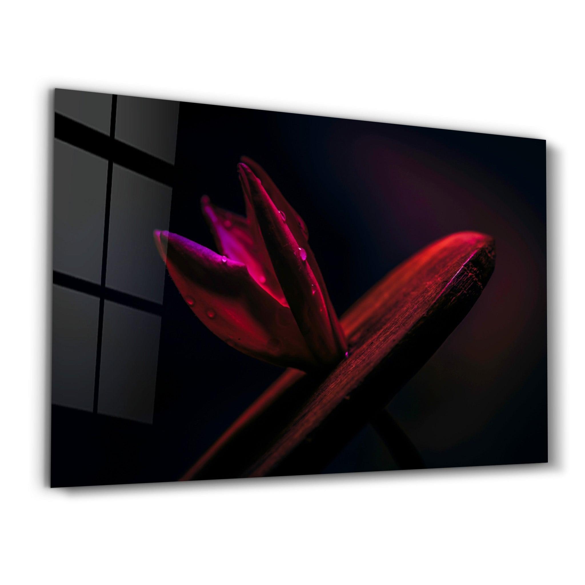 Red Leaf | Glass Wall Art - Artdesigna