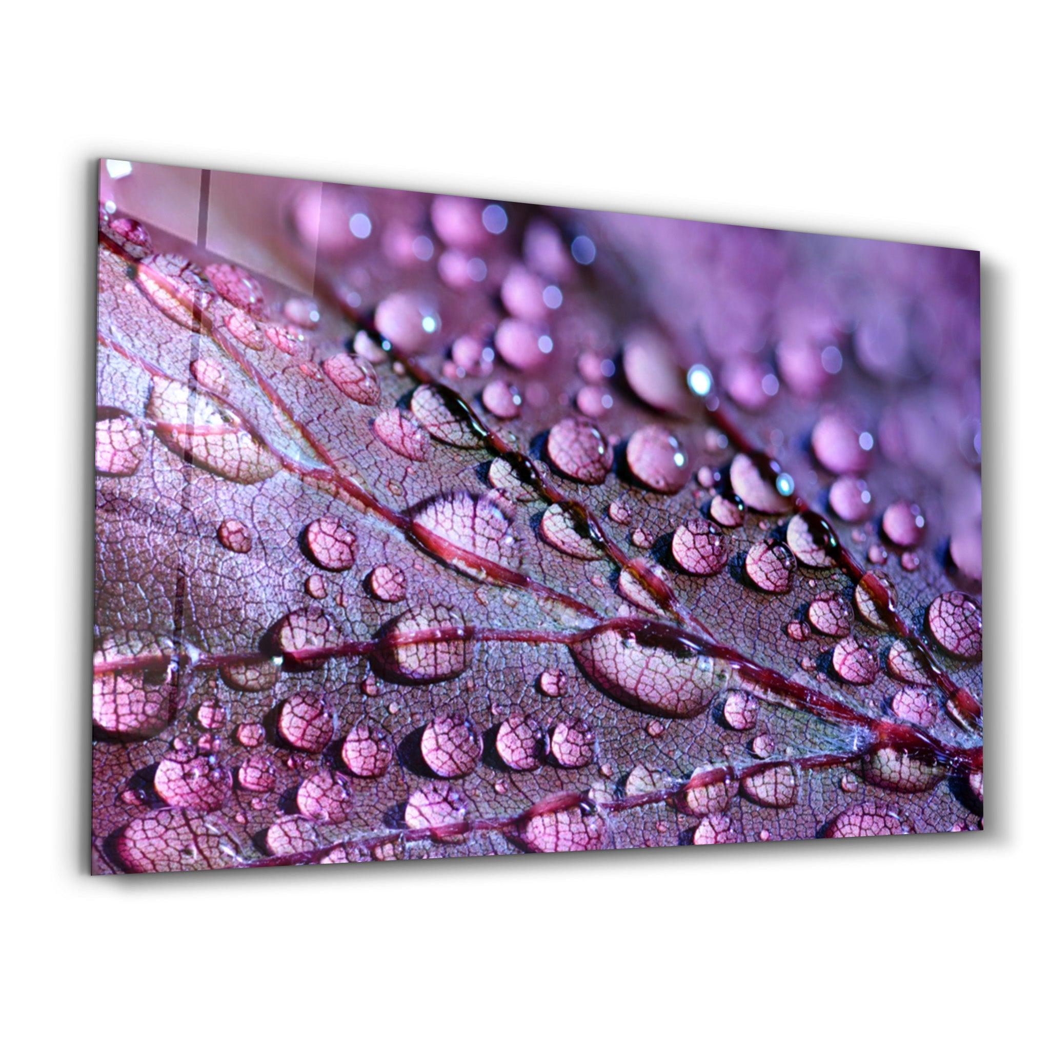 Purple Leaf | Glass Wall Art - Artdesigna