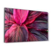 Pink Leaves | Glass Wall Art - Artdesigna