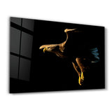 Eagle in Dark | Glass Wall Art