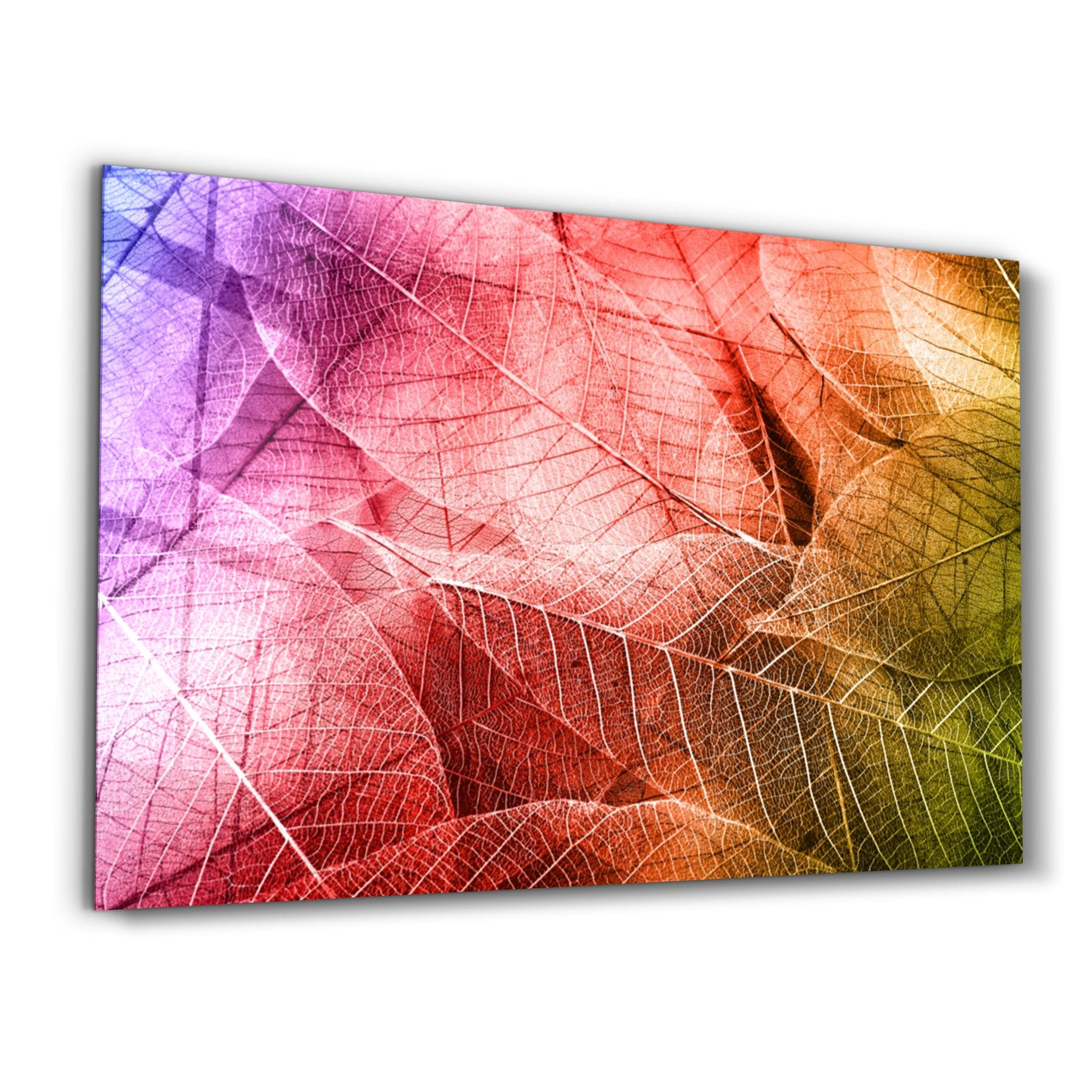 Rainbow Leaves | Glass Wall Art - Artdesigna