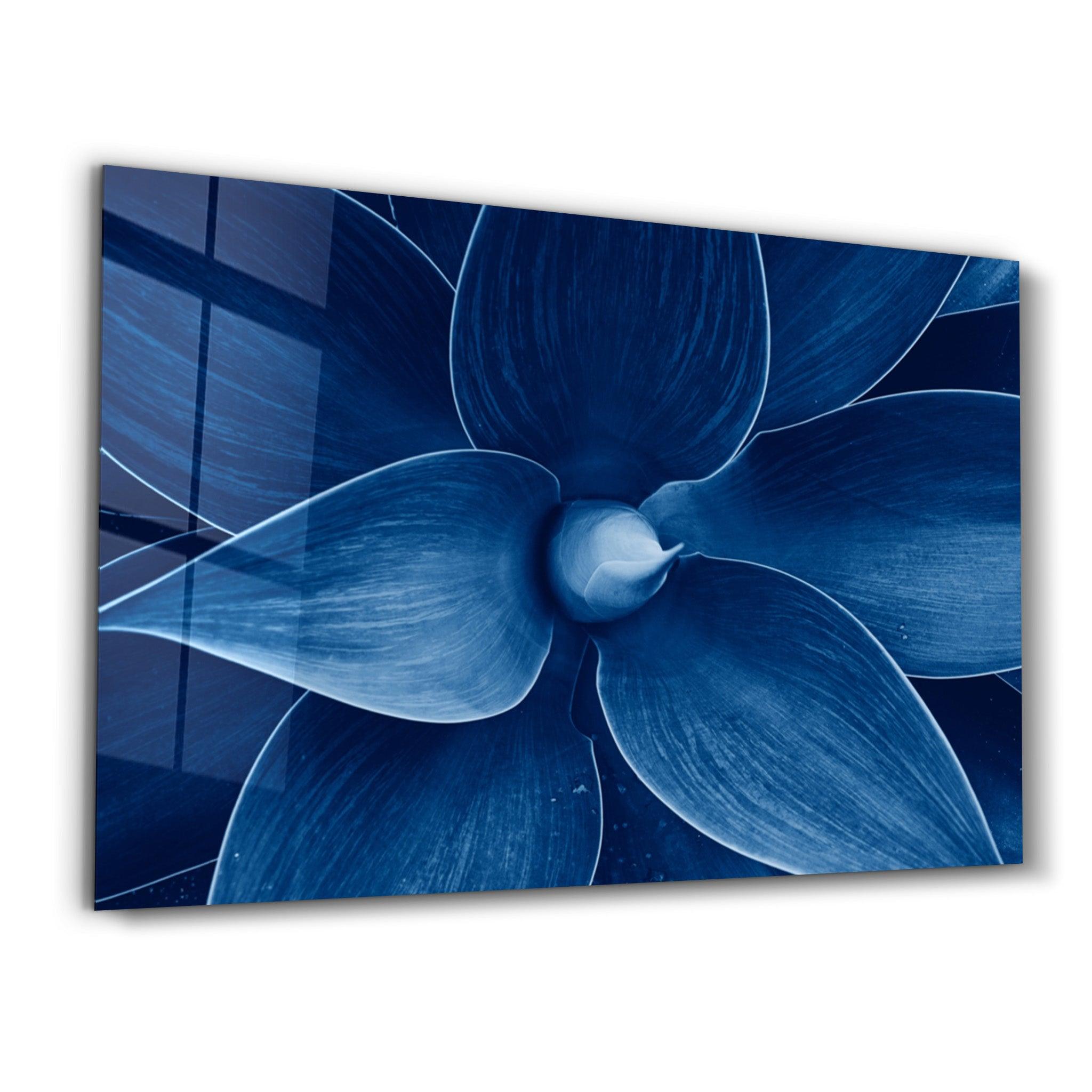 Natura Blue | Glass Wall Art - Artdesigna