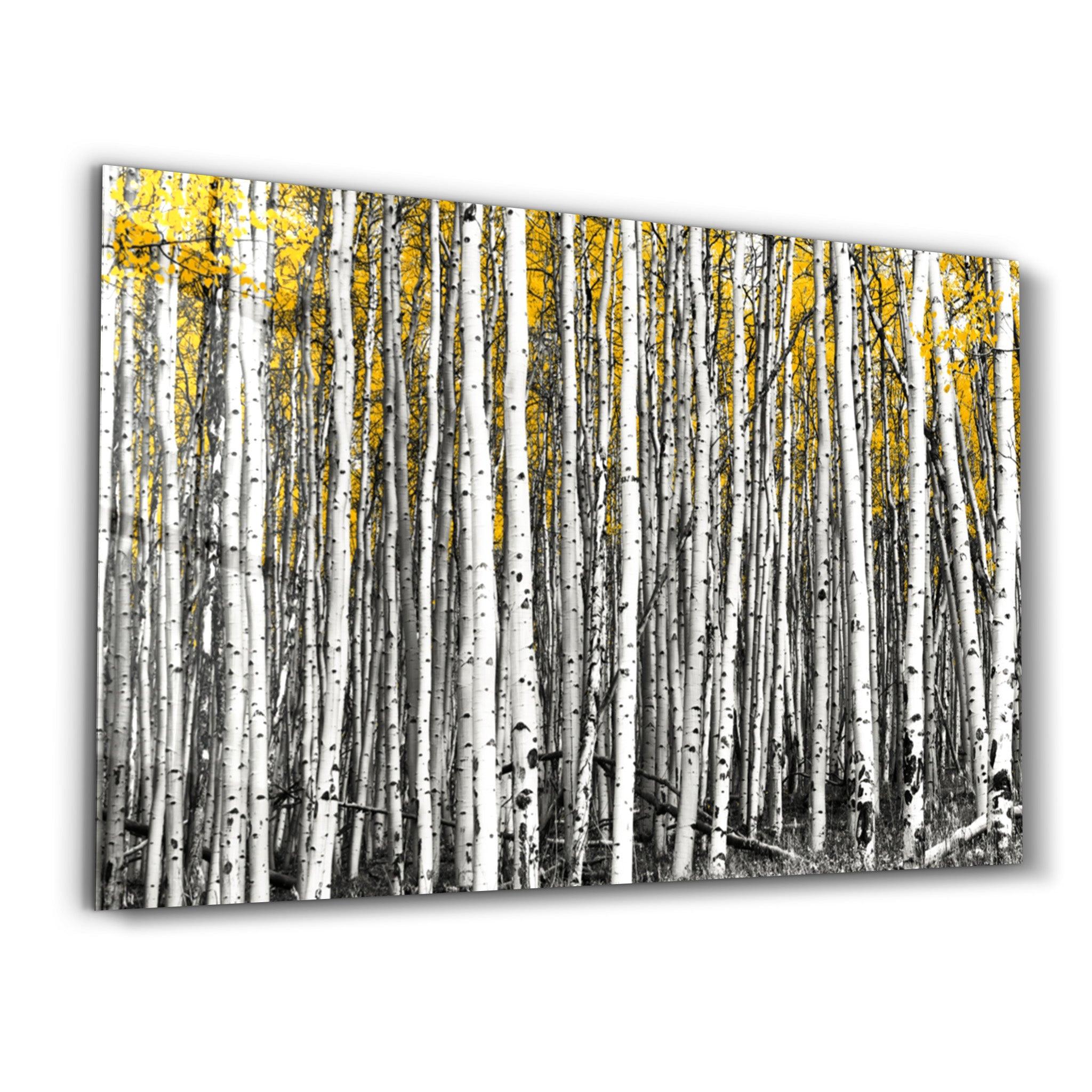 Abstract White Trees | Glass Wall Art - Artdesigna