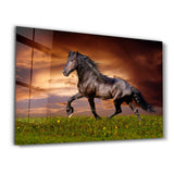 Horse in the Wind | Glass Wall Art