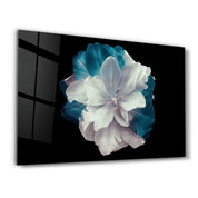 Flower with Blue Leaves | Glass Wall Art - Artdesigna