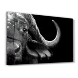 Buffalo | Glass Wall Art
