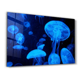 Blue Jellyfish | Glass Wall Art