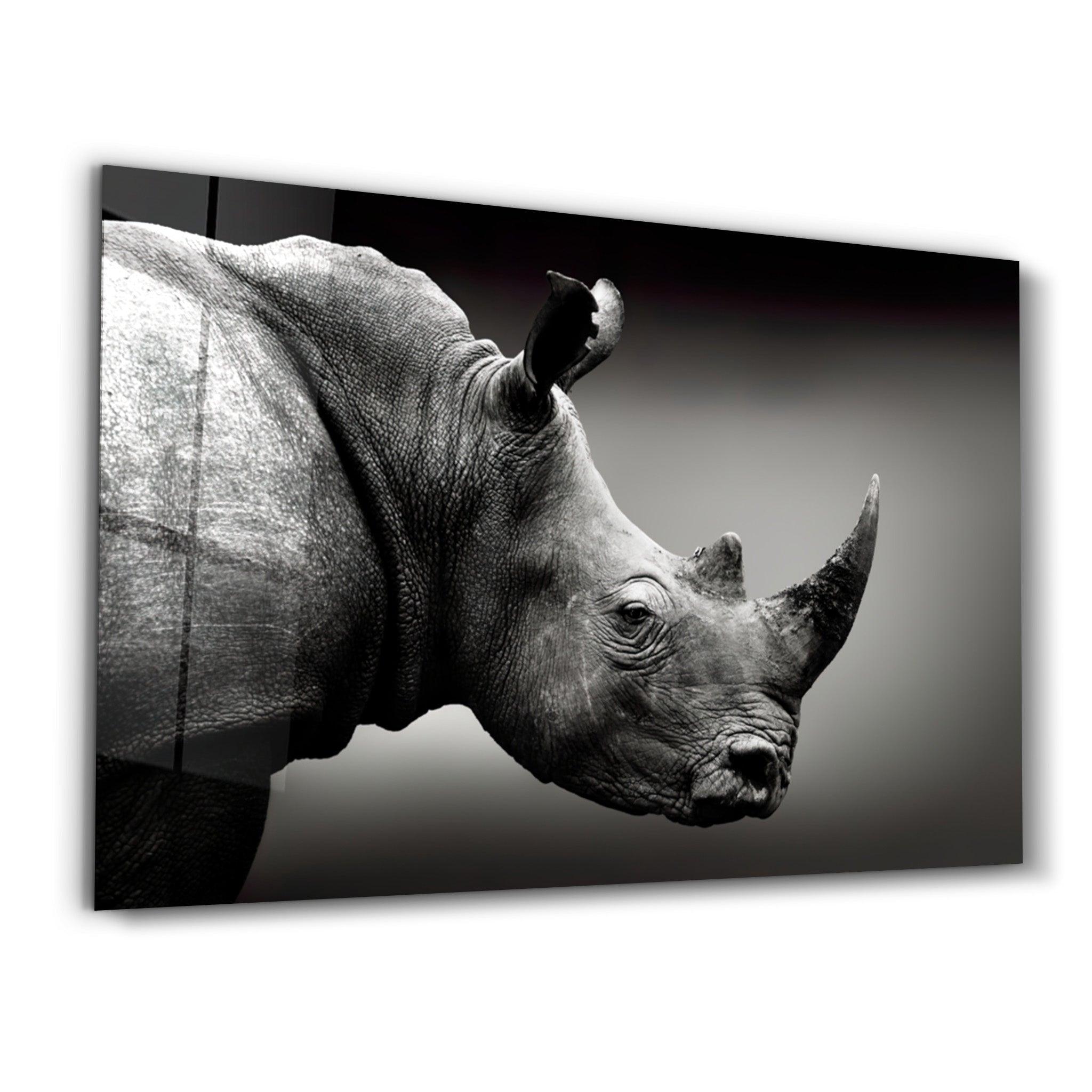 Rhino V2 | Glass Wall Art - Artdesigna