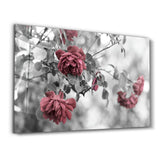 Roses | Glass Wall Art