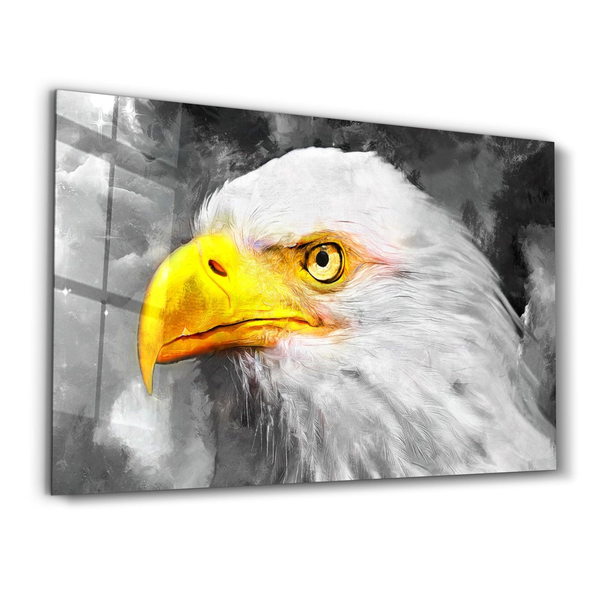 Mountain Eagle | Glass Wall Art - Artdesigna