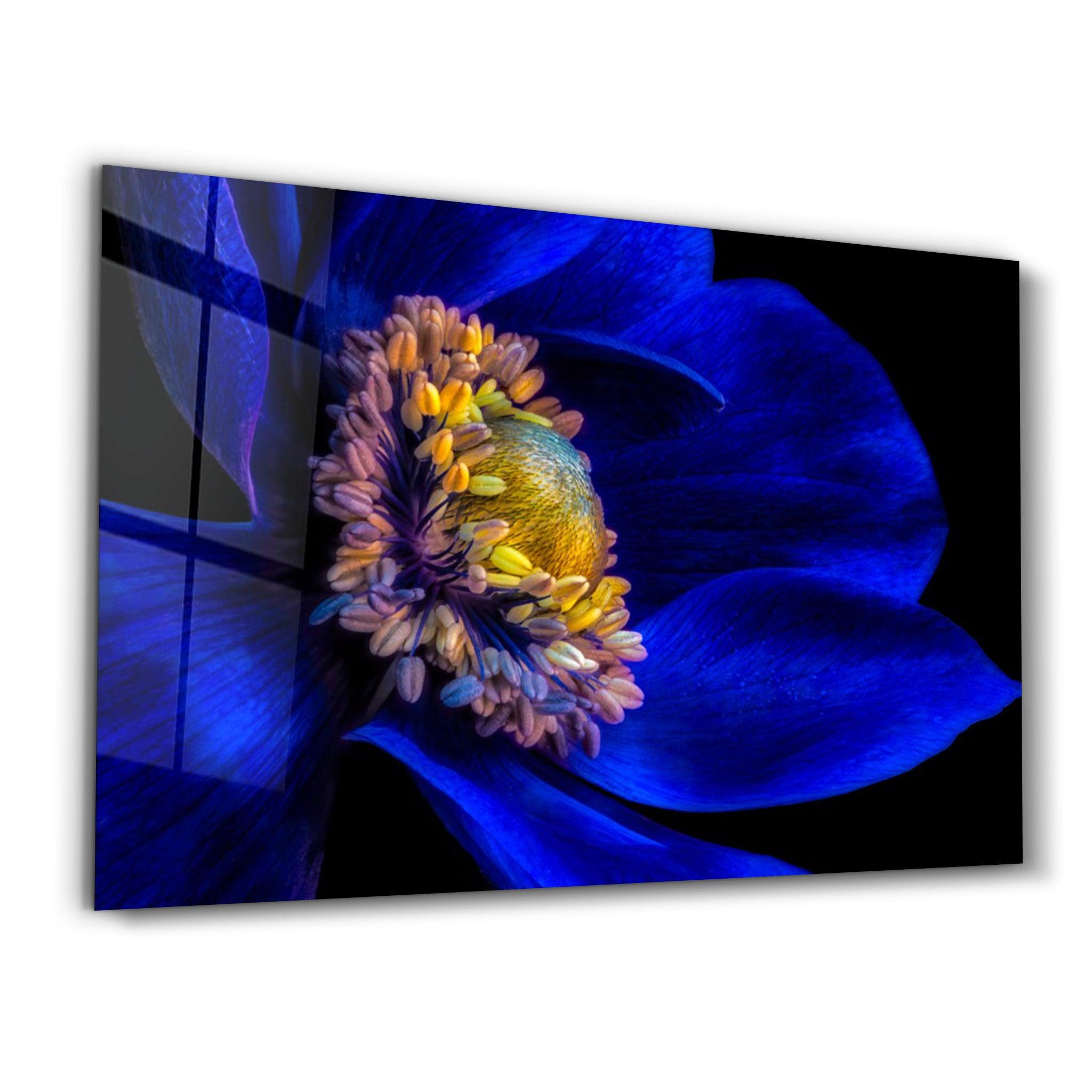 Blue Flower2 | Glass Wall Art - Artdesigna