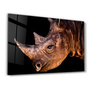 Rhino V3 | Glass Wall Art - Artdesigna