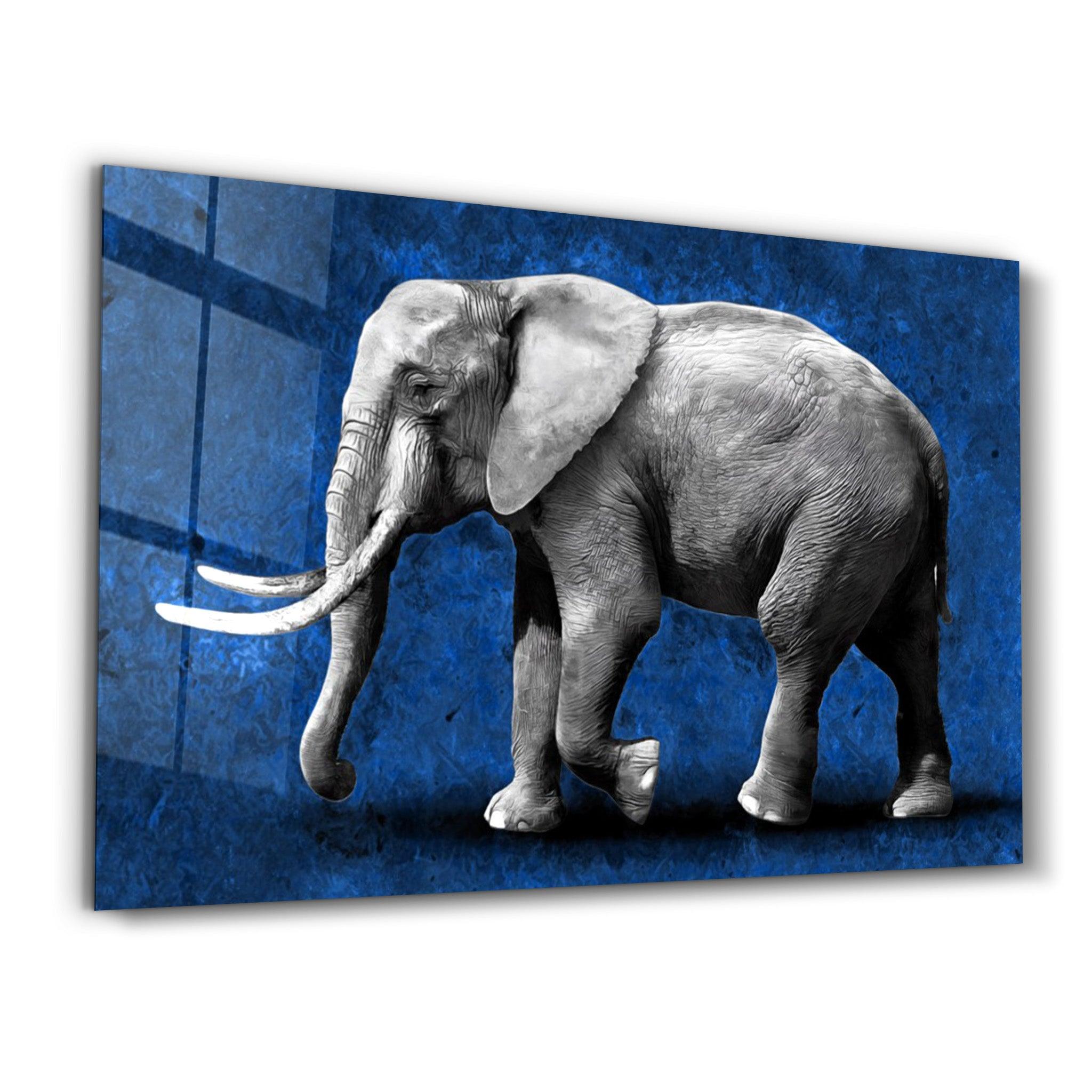 Elephant Blue | Glass Wall Art - Artdesigna