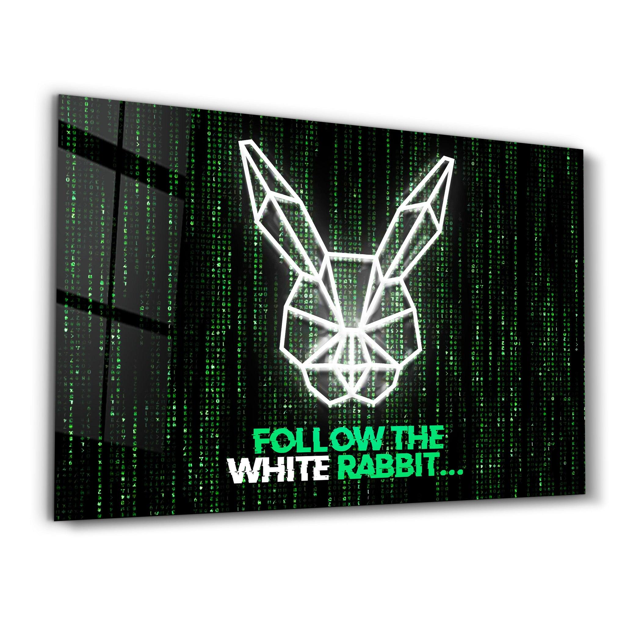 Follow the Rabbit | Glass Wall Art - Artdesigna