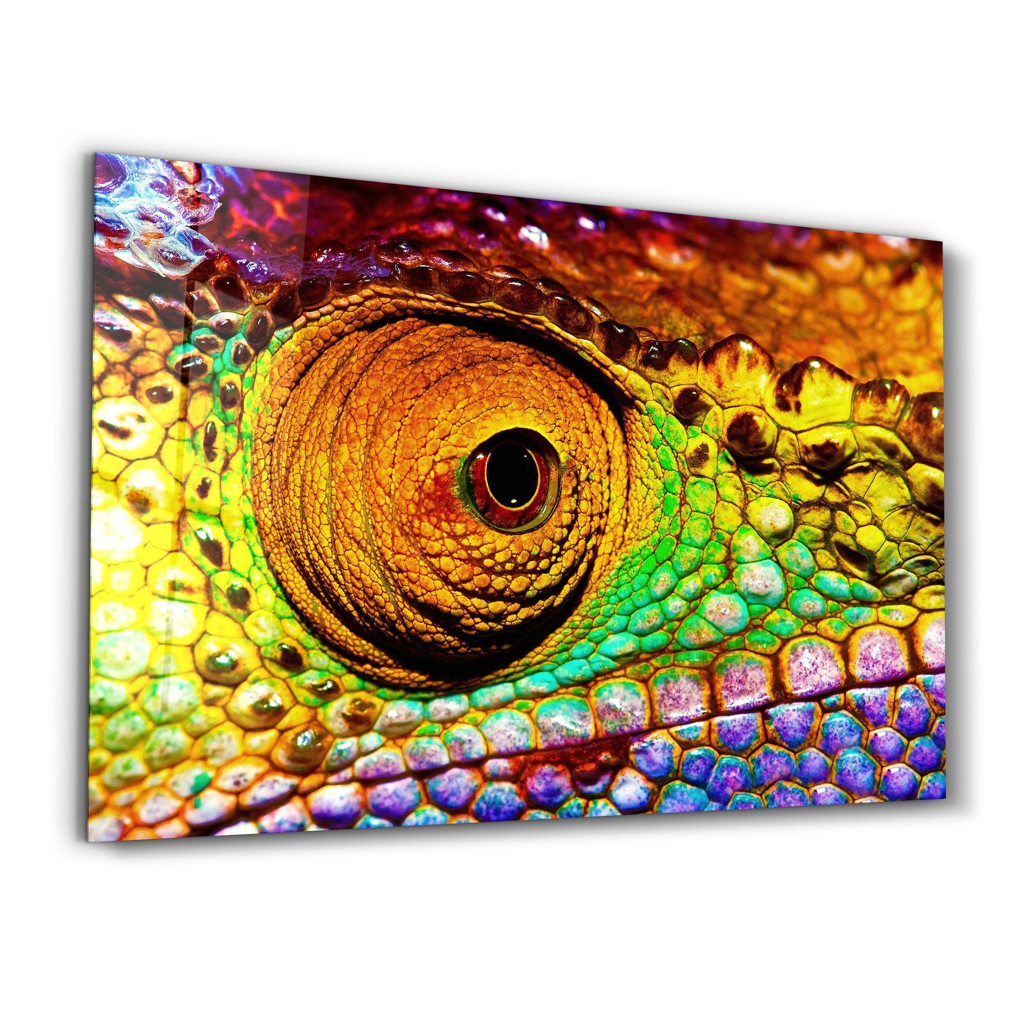 Dragon's Eye | Designer's Collection Glass Wall Art - Artdesigna