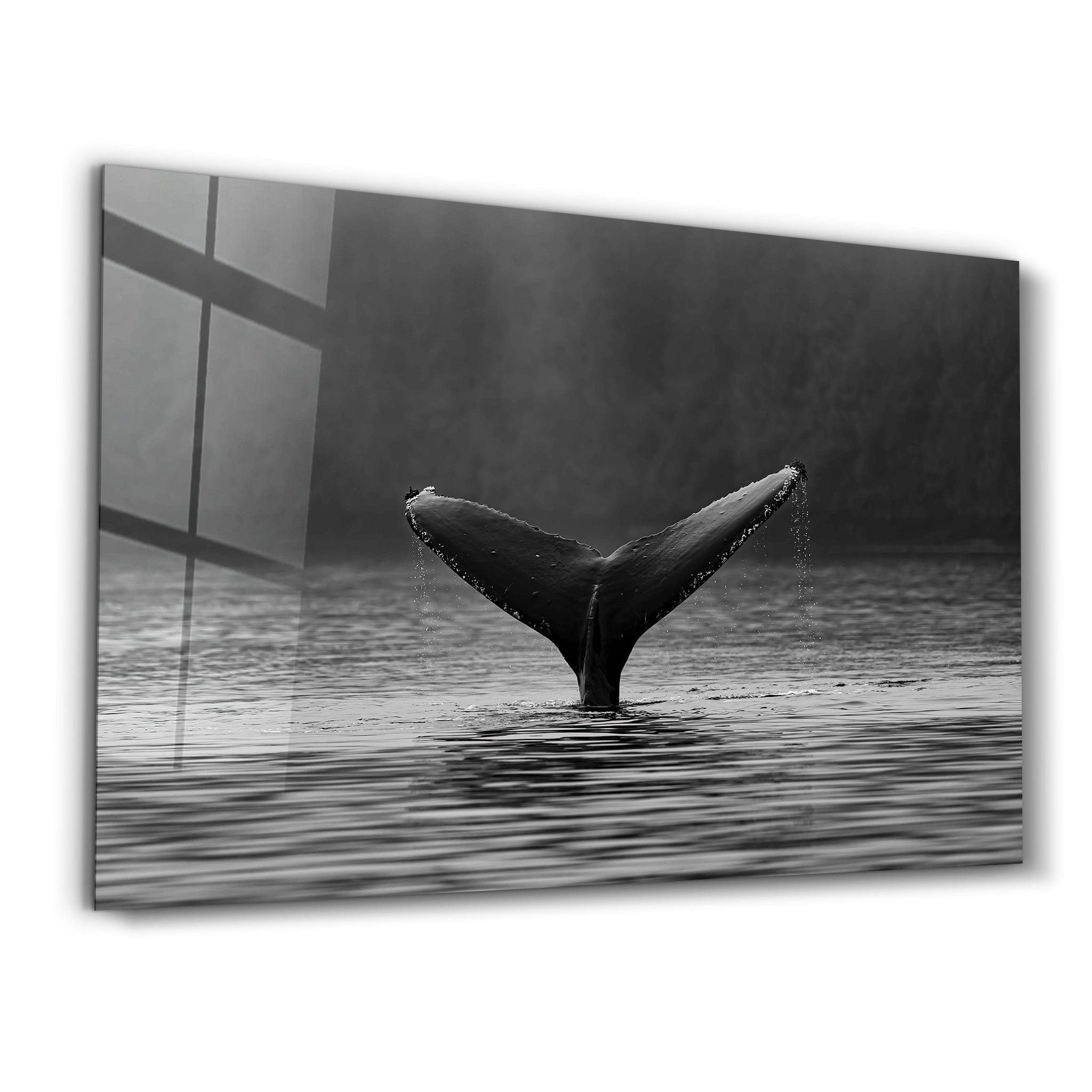 Whale | Designer's Collection Glass Wall Art - Artdesigna