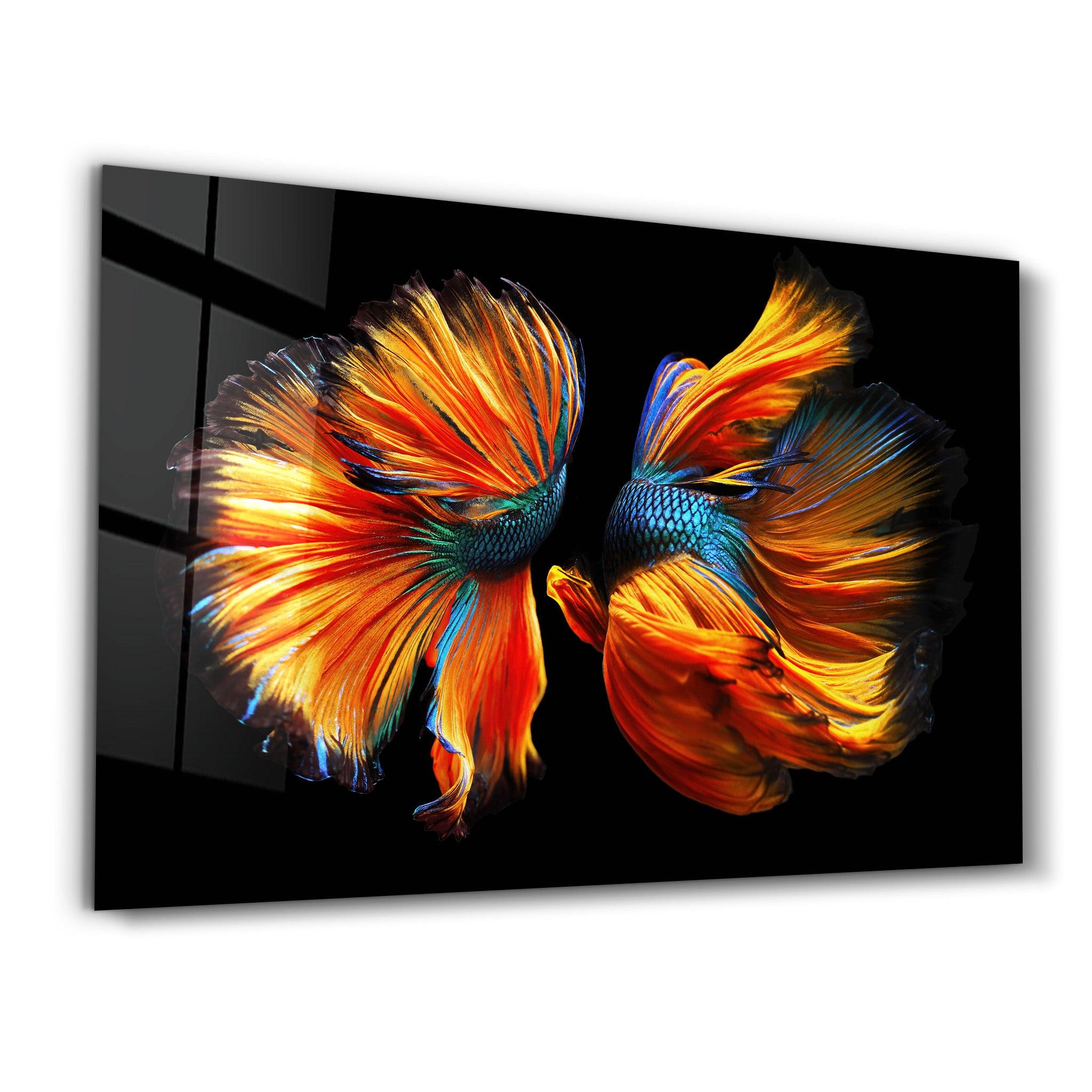 Beta Fishes | Glass Wall Art - Artdesigna