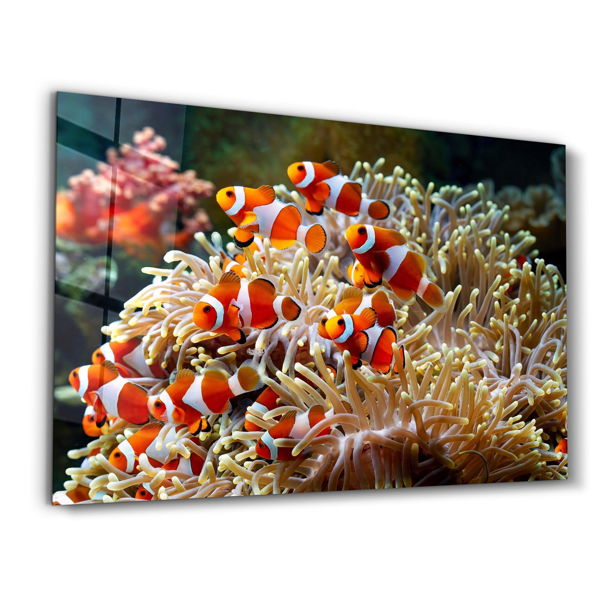 Fishes on Corals | Glass Wall Art - Artdesigna