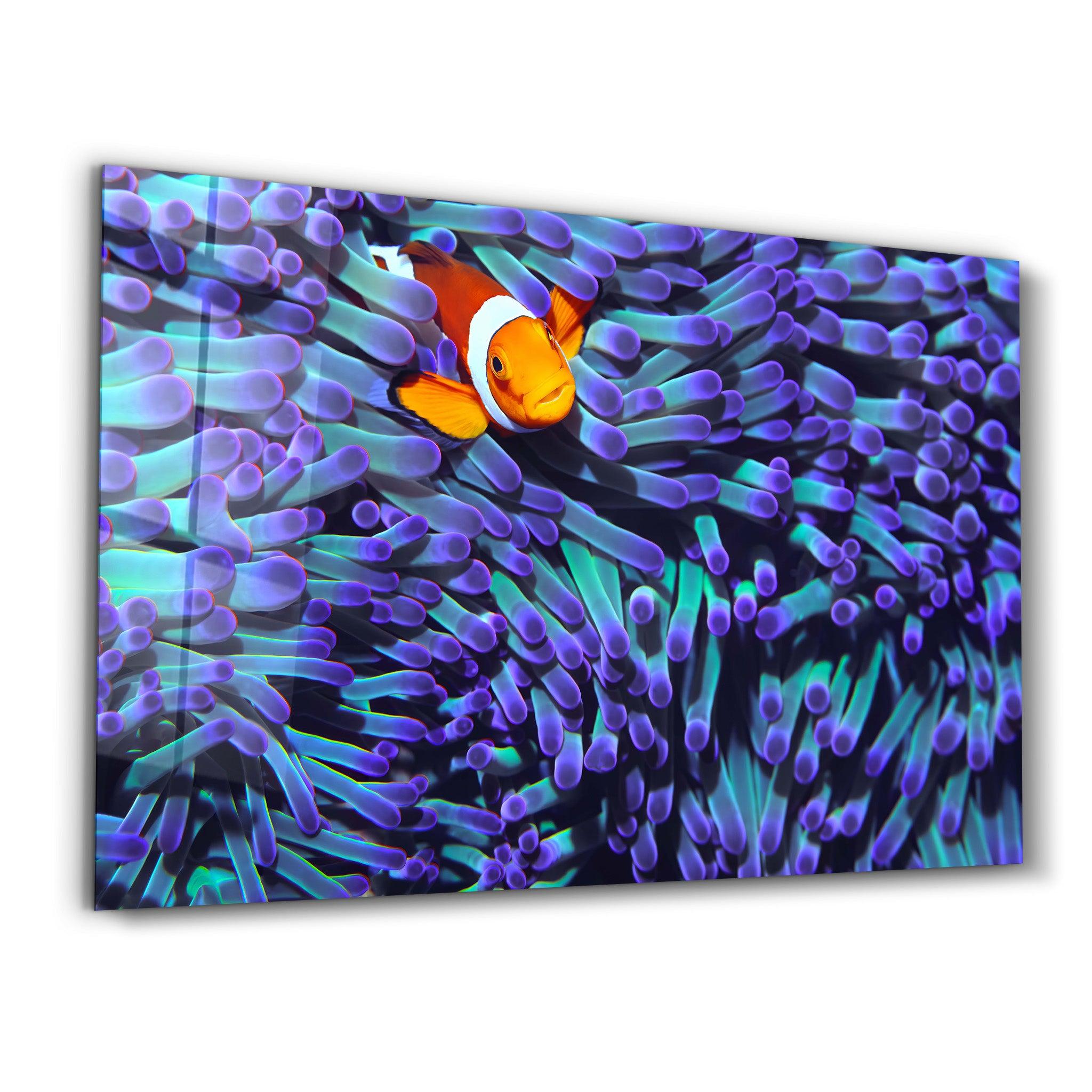 Clownfish | Glass Wall Art - Artdesigna