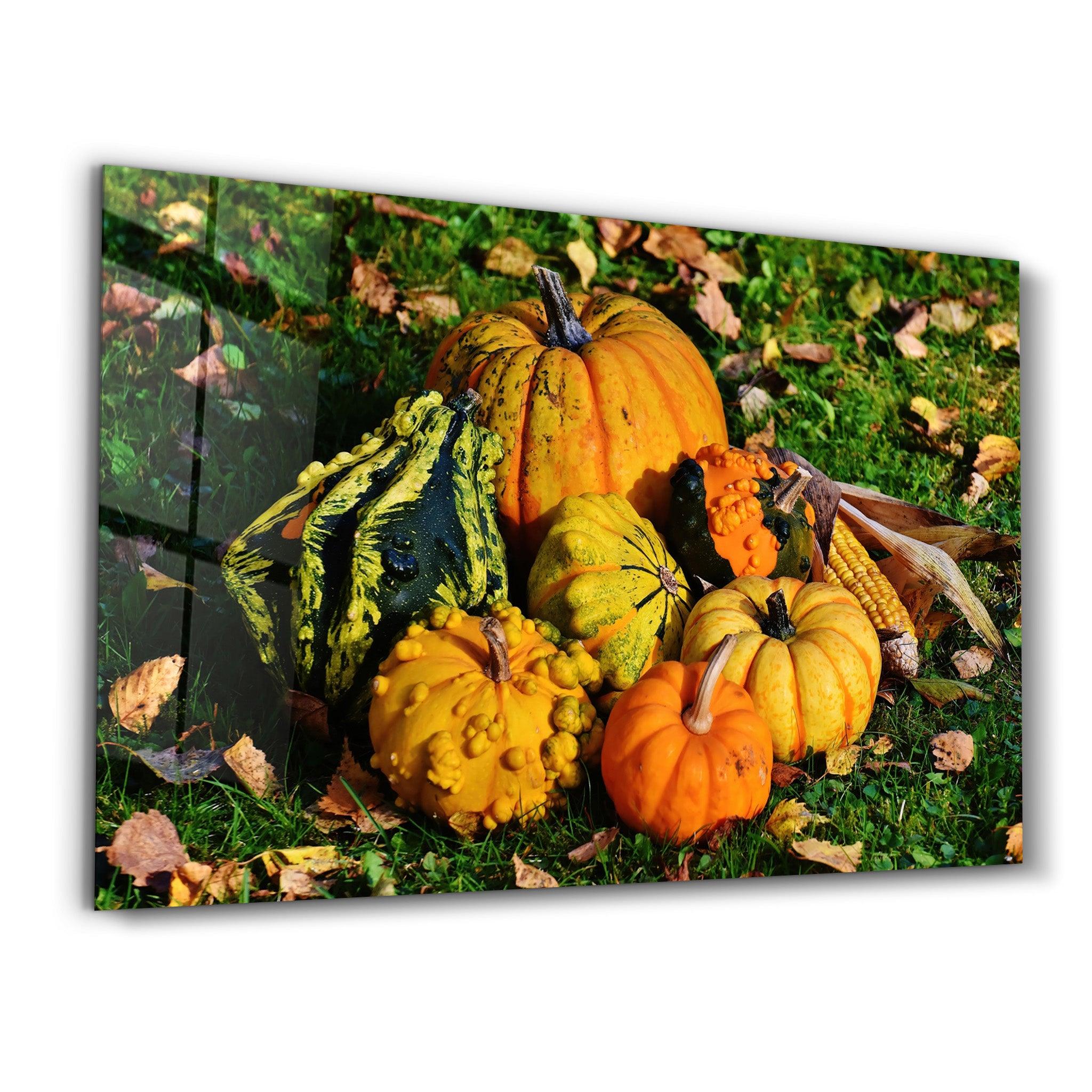 Pumpkins | Glass Wall Art - Artdesigna