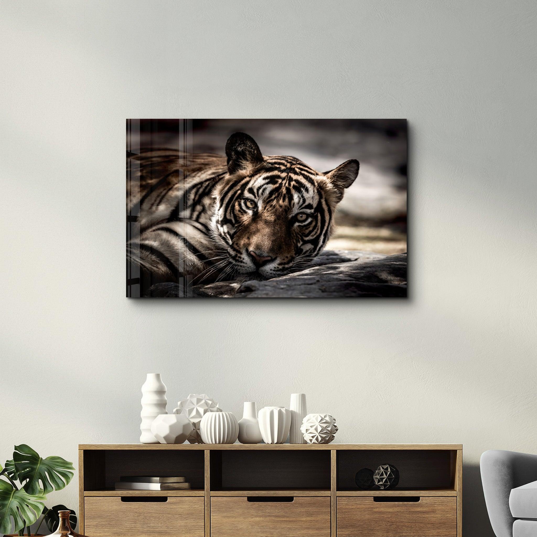 Tired Tiger | Glass Wall Art - Artdesigna