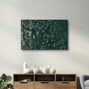 Divided Forest | Glass Wall Art - Artdesigna