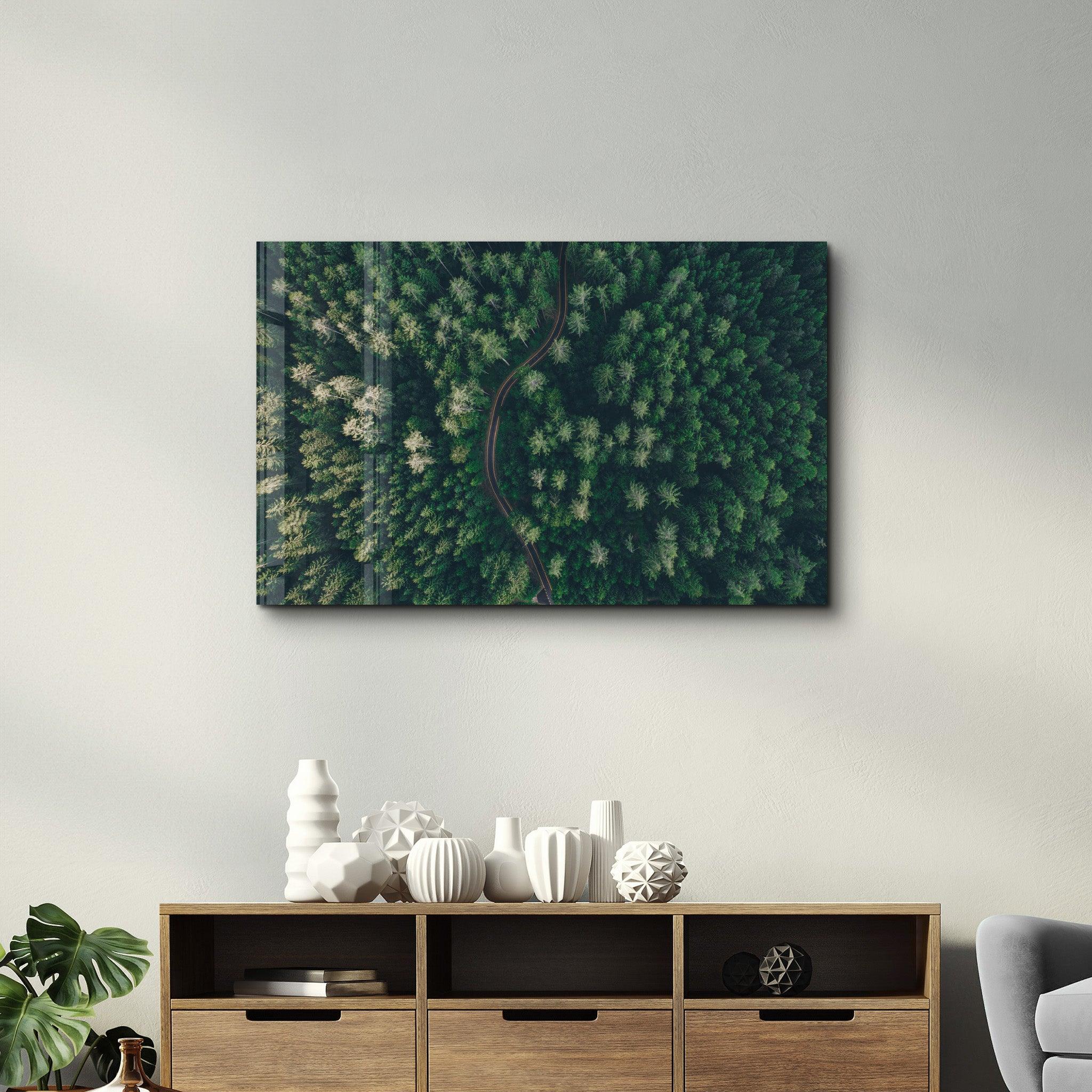 Divided Forest | Glass Wall Art - Artdesigna