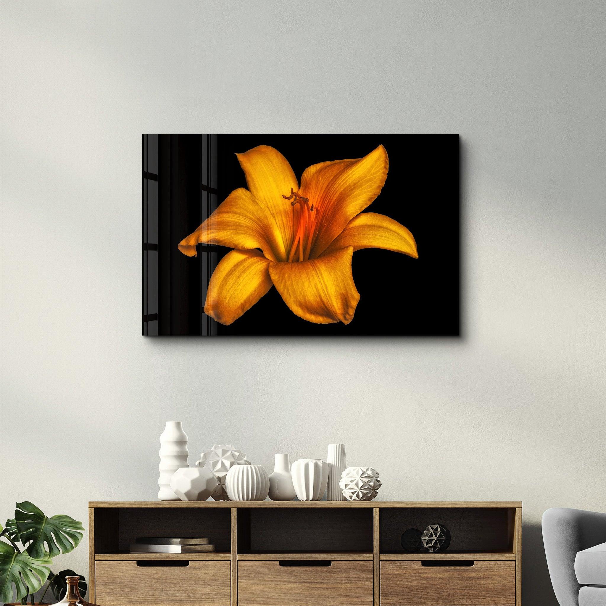 Orange Lily | Glass Wall Art - Artdesigna