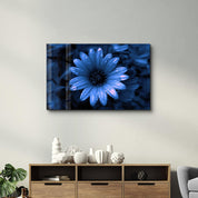 Blue Daisy | Glass Wall Art - Artdesigna