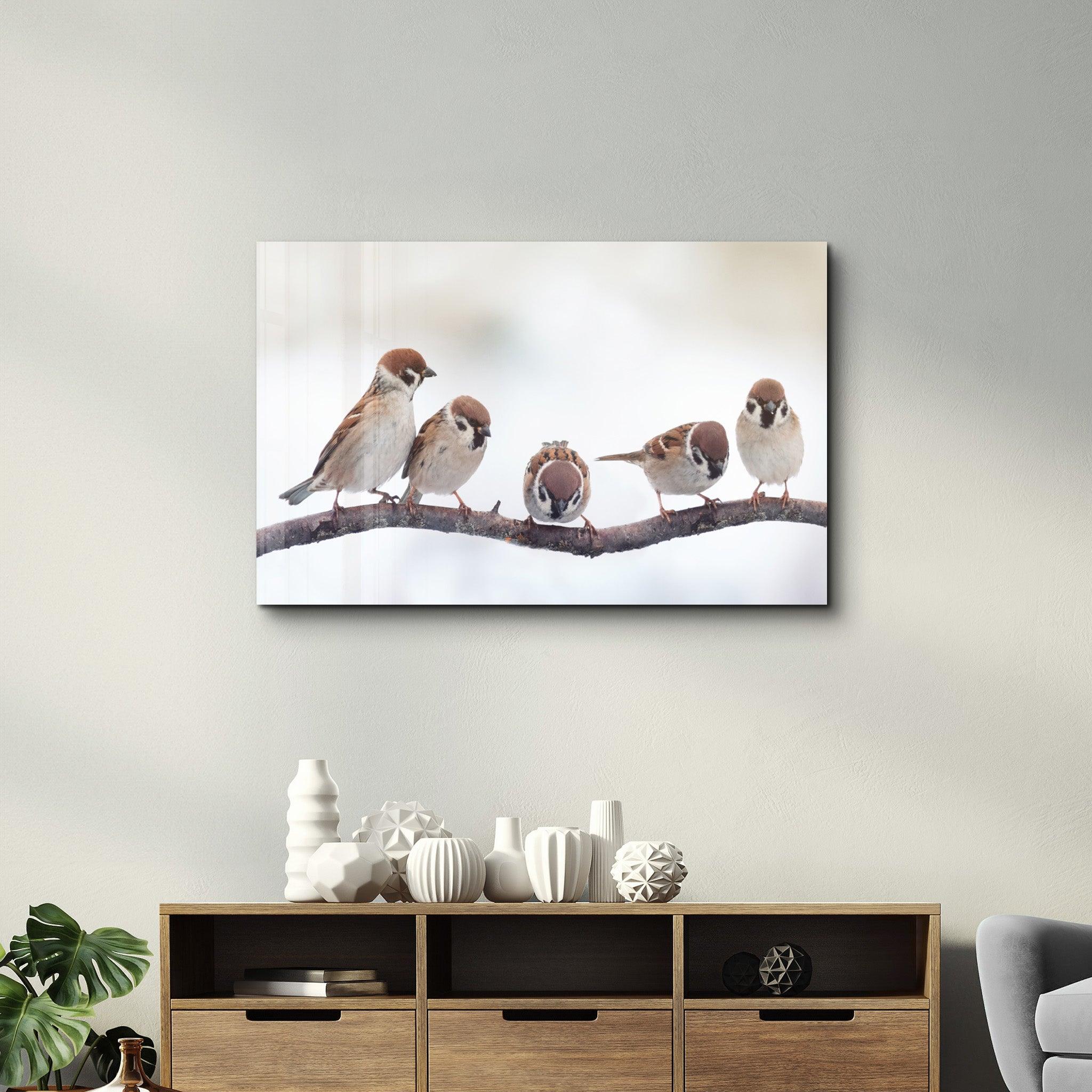 Birds | Glass Wall Art - Artdesigna