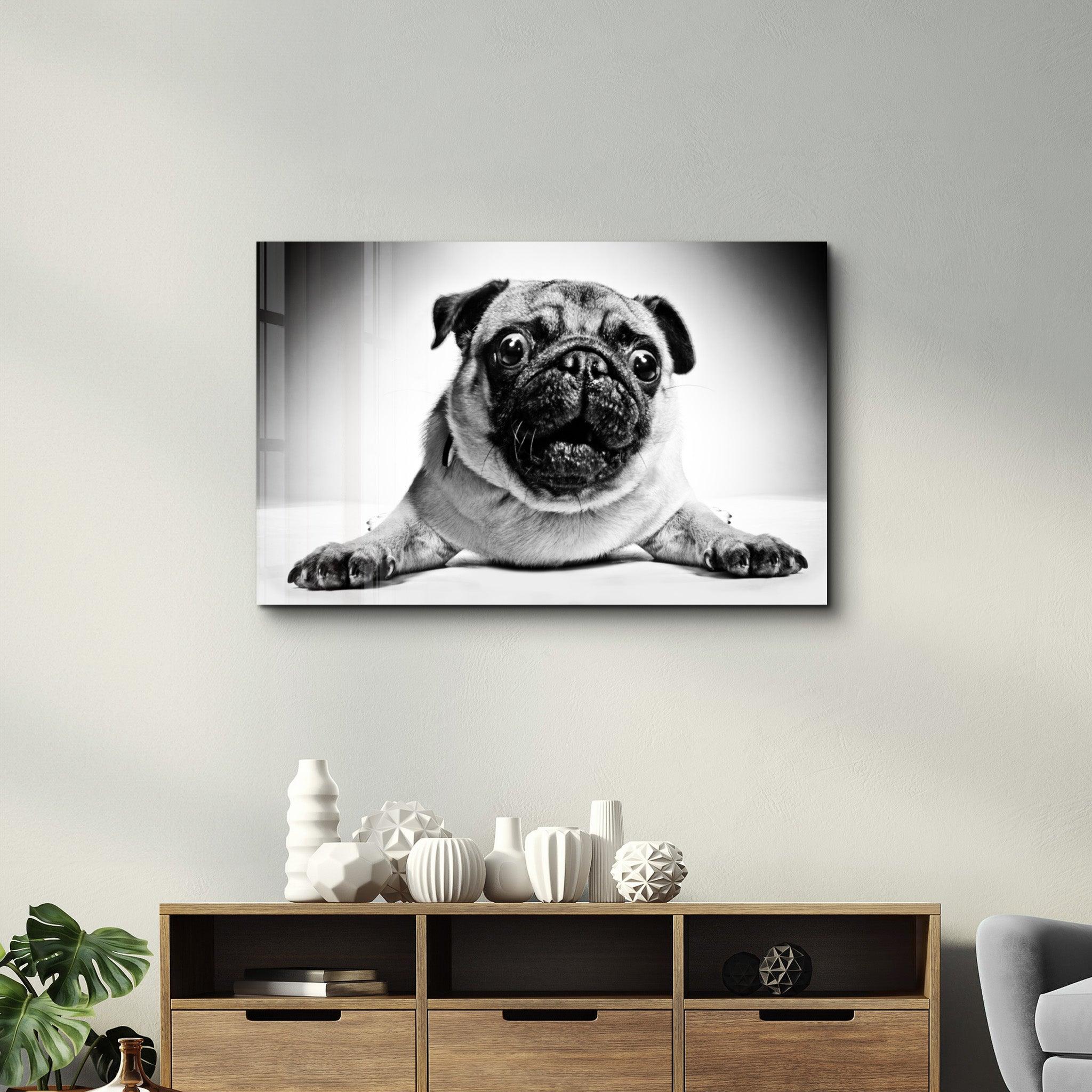 Pug | Glass Wall Art - Artdesigna