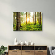 The Forest | Glass Wall Art - Artdesigna